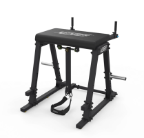 Reverse Hyper Extension (Belt included) Reverse Hyper Extension (Belt included)